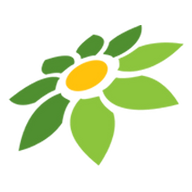 PAJAK TOKOPEDIA SELLER